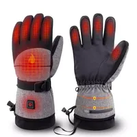 IN STOCK Waterproof Warm Heated Gloves Rechargeable Snowboard Motorcycle Racing Cycling Winter Ski Heated Gloves