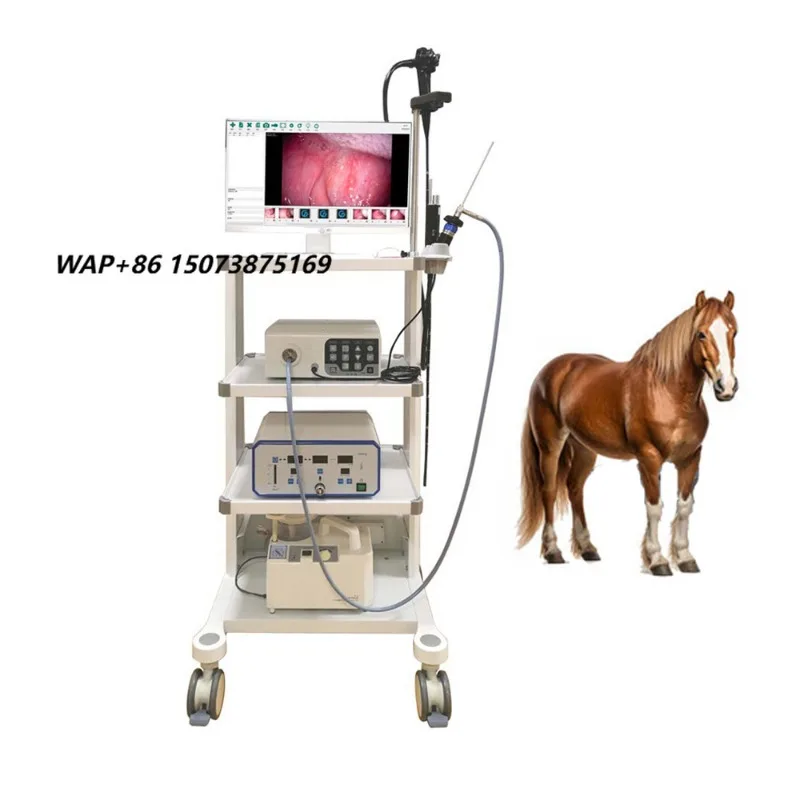 Hot Sale Endoscope Gastroscope Enteroscopy Veterinary Flexible Endoscope Animal Video Endoscope Horse