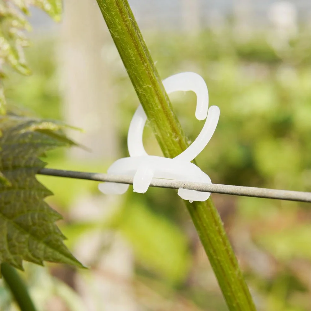 

500 Pcs Vegetable Vine Clips Grape Clamp Vines Garden Support Plastic Climbing Plants