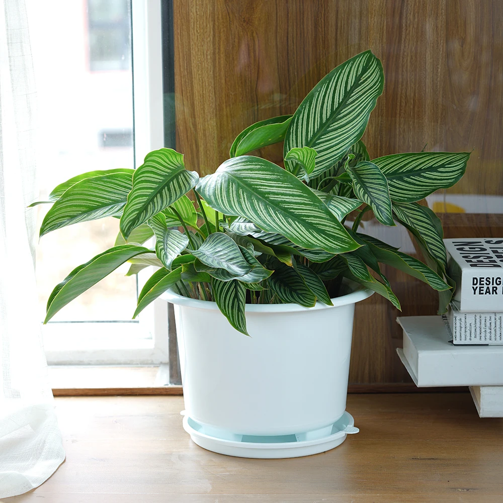 Meshpot-Orchideentöpfe mit Löchern zum Absachen, dekorativer Blumentopf mit Luftschnitt und guter Luftzirkulationspflanzen – Detail 8