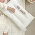 pillow 30x50cm