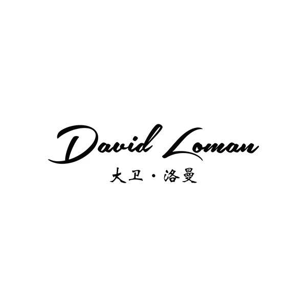 DAVID LOMAN 初代バージョン プレイ/ヒットキュー シャフト カーボン