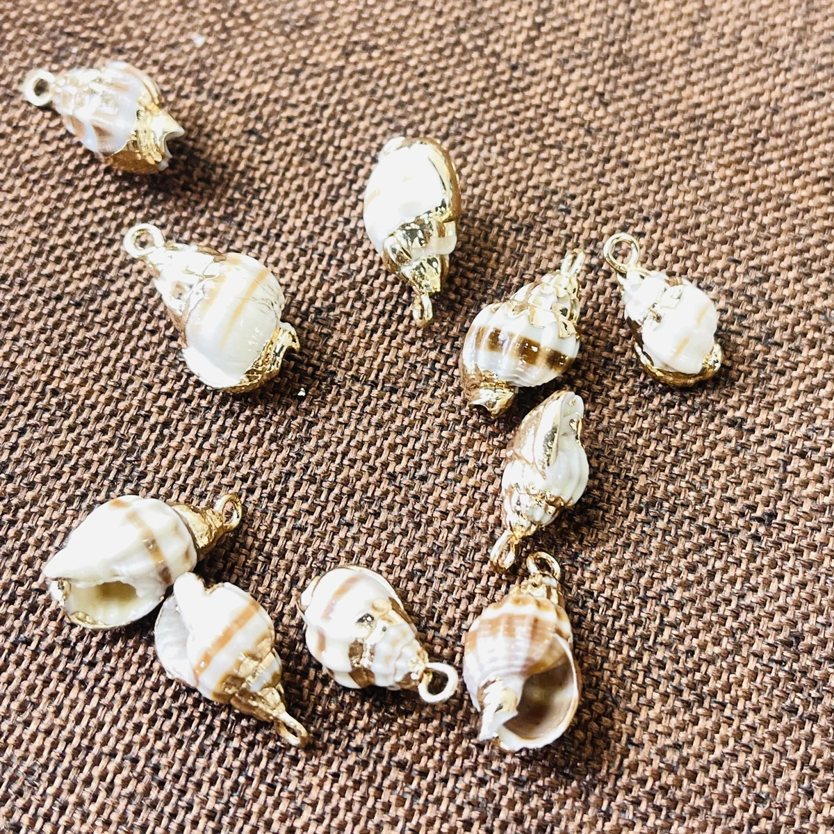10pcs/lot Natural Freshwater Conch Shell Pendant Shells Charms For Jewelry Making DIY Women Necklaces Earrings Accessories Gift