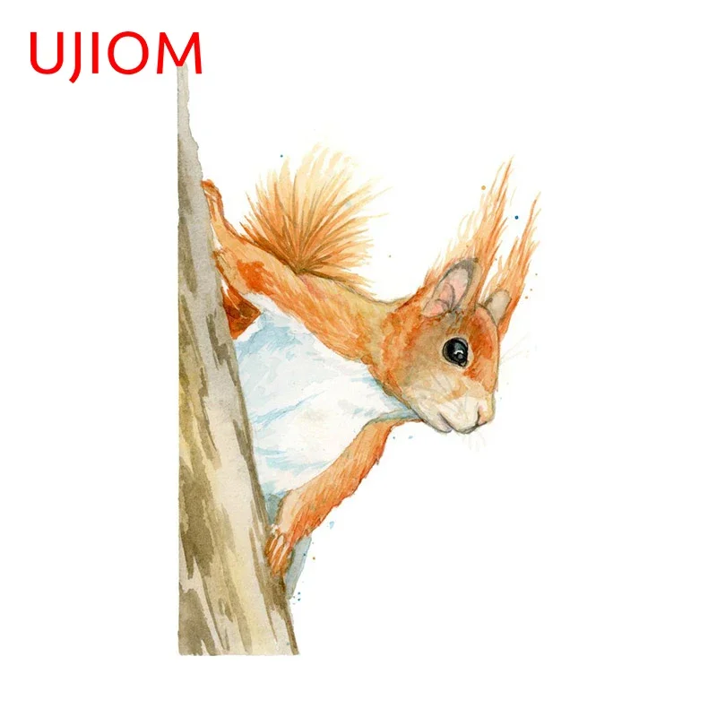 UJIOM 13cm X 8cm Peeping Squirrel Wall Woodland Stickers Cartoon Animal Windows Side Decal DIY Kitchen Decor Occlusion Scratch