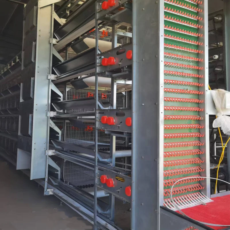 Factory Price Durable Galvanized Layer Chicken Cage with Automatic Egg Collection System High Efficiency for Poultry Farm