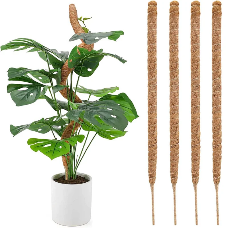 Plant Support Climbing Stakes Bendable Extension for Indoor Green Dill Vine Climbing Plant Garden Access