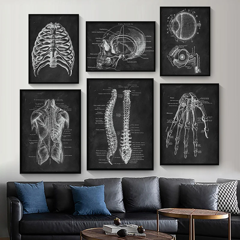 Menschliche Anatomie Kunstwerk medizinische Klinik Wandbild Skelett Organ Muskels ystem Vintage Leinwand druck Körper erziehung Poster
