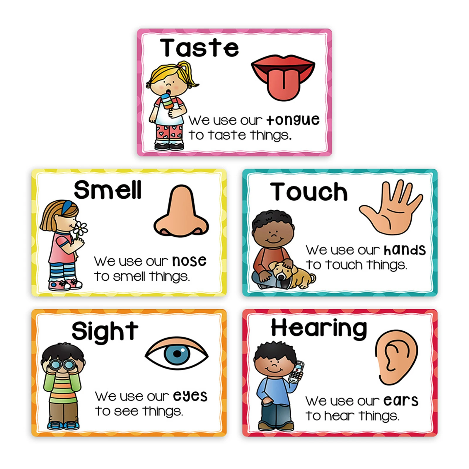 Laminated Learning Posters for Preschool Kids A4 English Education Cards Visual Auditory Tactile Teaching Aid Set