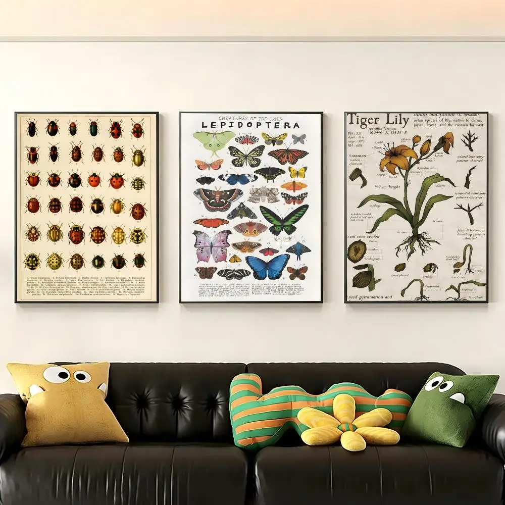 Póster artístico de pared de Music V-Vianney, perfecto para decoración de dormitorio, sala de estar, estudio y oficina
