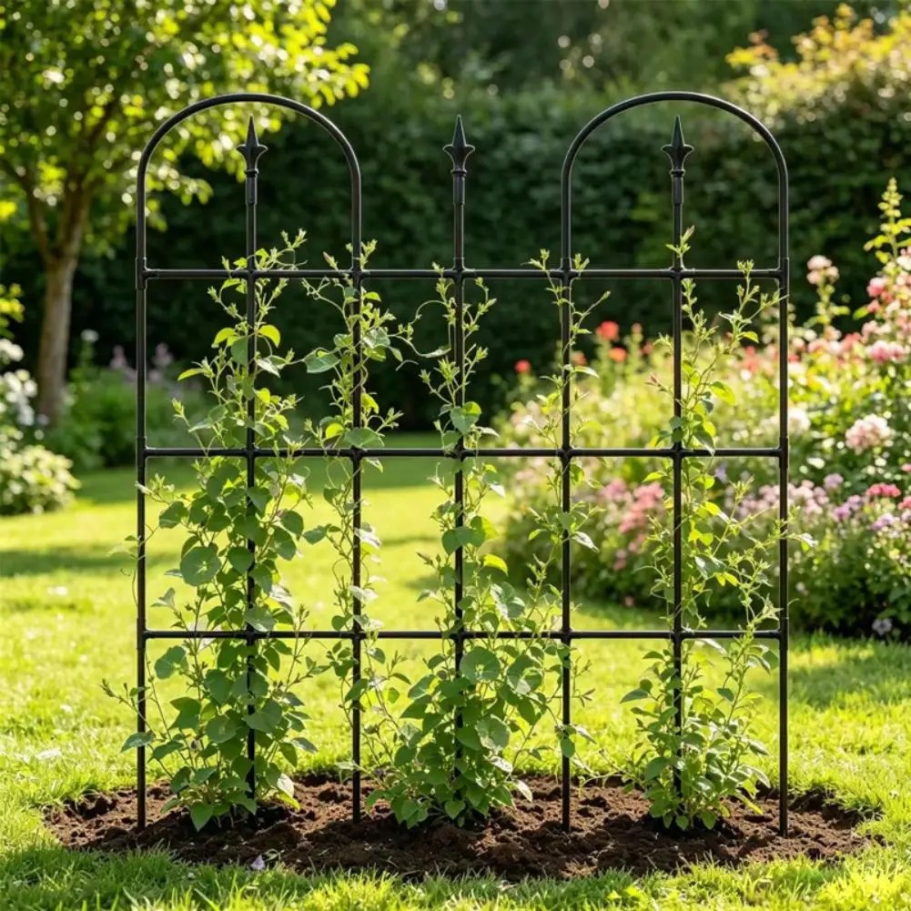 Outdoor Arched Trellis Constructed from Metal for Climbing Plants Requiring Vertical Support Such as Roses Vines and Tomatoes