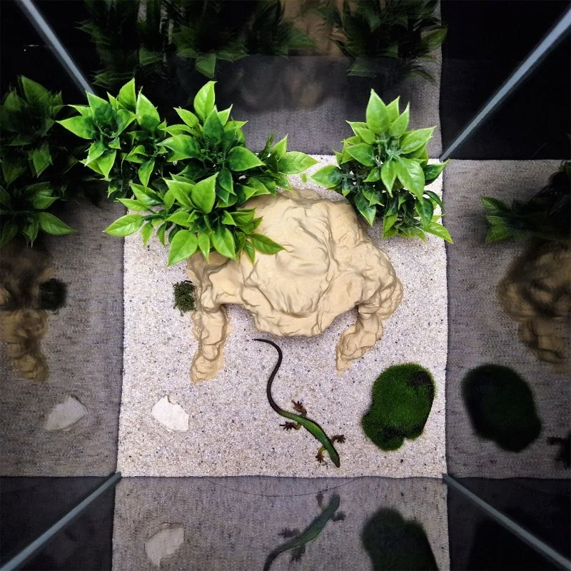 Simulated Rock Cave…