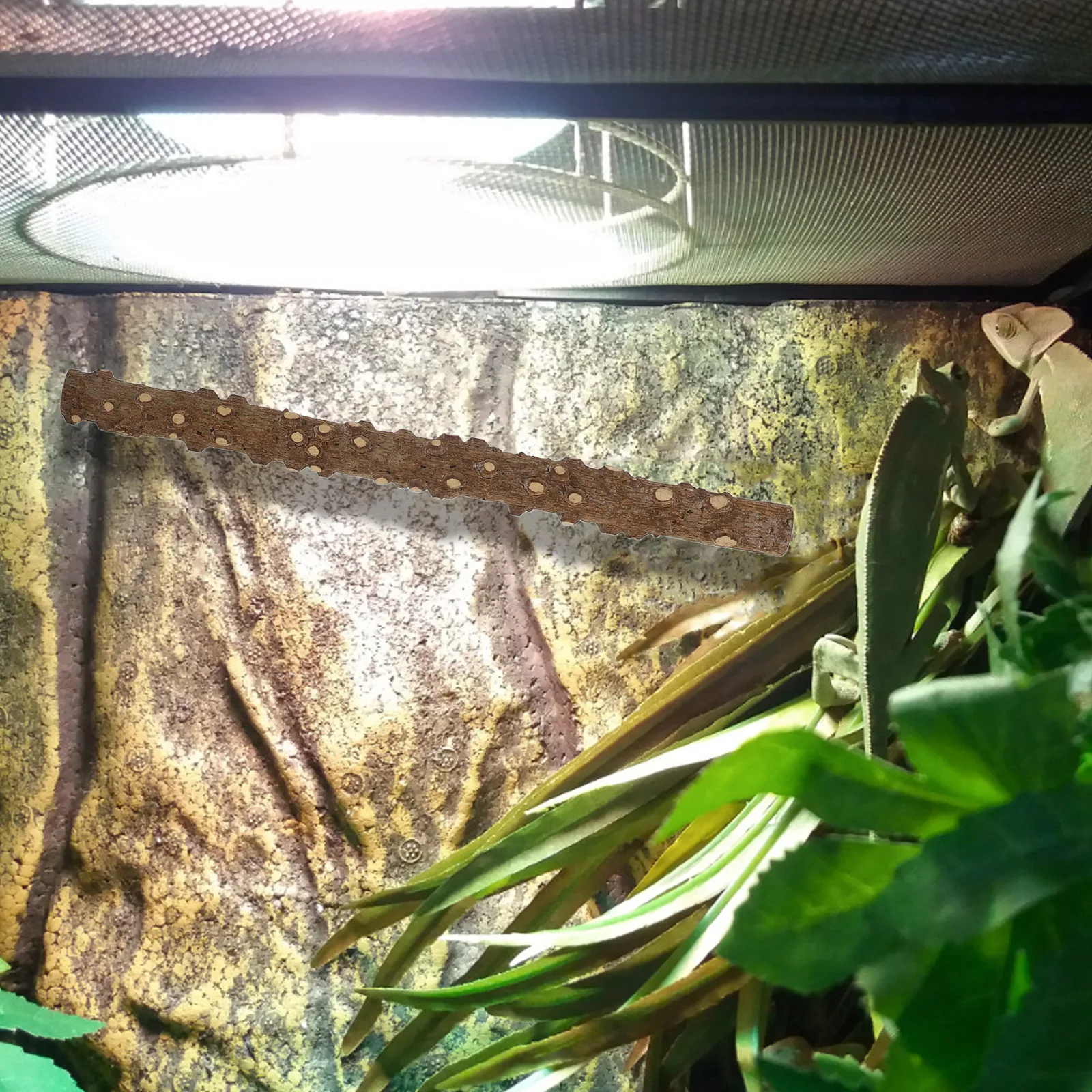 

2Pcs Reptile Corner Stick Branch Natural Design Easy Install Suction Cup Zip Tie for Lizard Snake Hermit Crab Terrarium Climbing