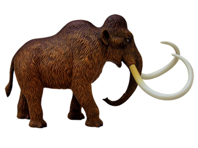 Puzzle building toys, simulated animals, creatures, mammoths, organ anatomy models, medical teaching