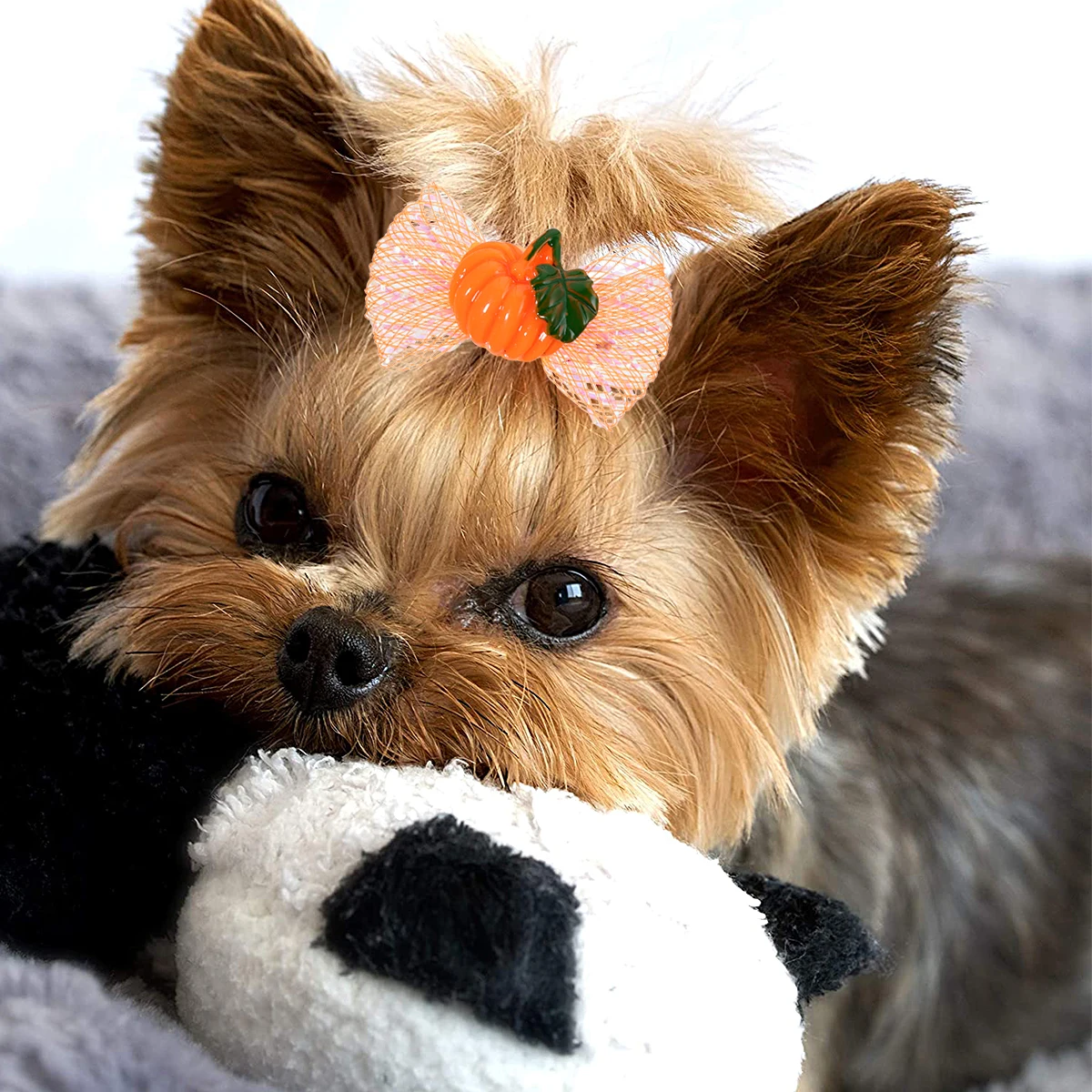 

10Pcs Pumpkin Butterfly Hair Bows Halloween Pet Headdress Festival Dog Accessories Bright Color