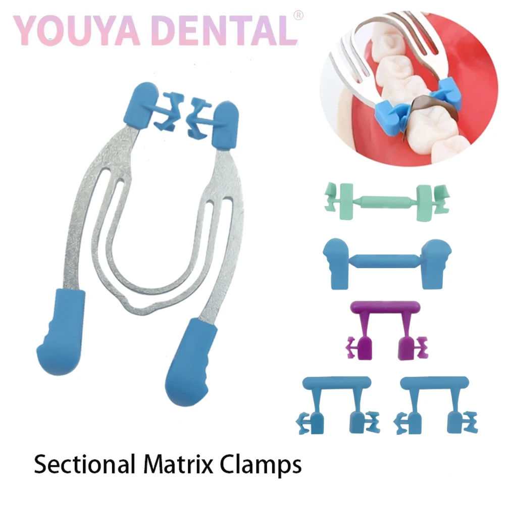 1 Box Dental Matrix Clamp Set Segmented Contour Matrix Clip Contour Matrix Clip Wedge Metal Spring Dentist Tools