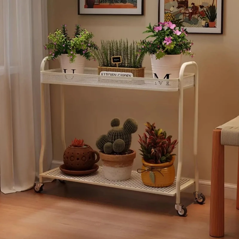 

Wedding Decoration Floor Cream Wind Economic Unique Originality Plant Shelves Balcony Wrought Universal Planten Rek Furniture