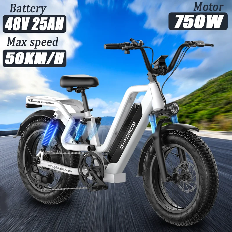 دراجة كهربائية نمط جديد محرك 750 واط 48 فولت 25 أمبير بطارية الكبار دراجة كهربائية 20 بوصة الإطارات جميع التضاريس منطقة جبلية E-الدراجة #1