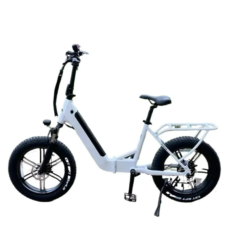 48v 750w Motor 20 Inch Electric Bike Fat Tire Ebike E Fat Bike