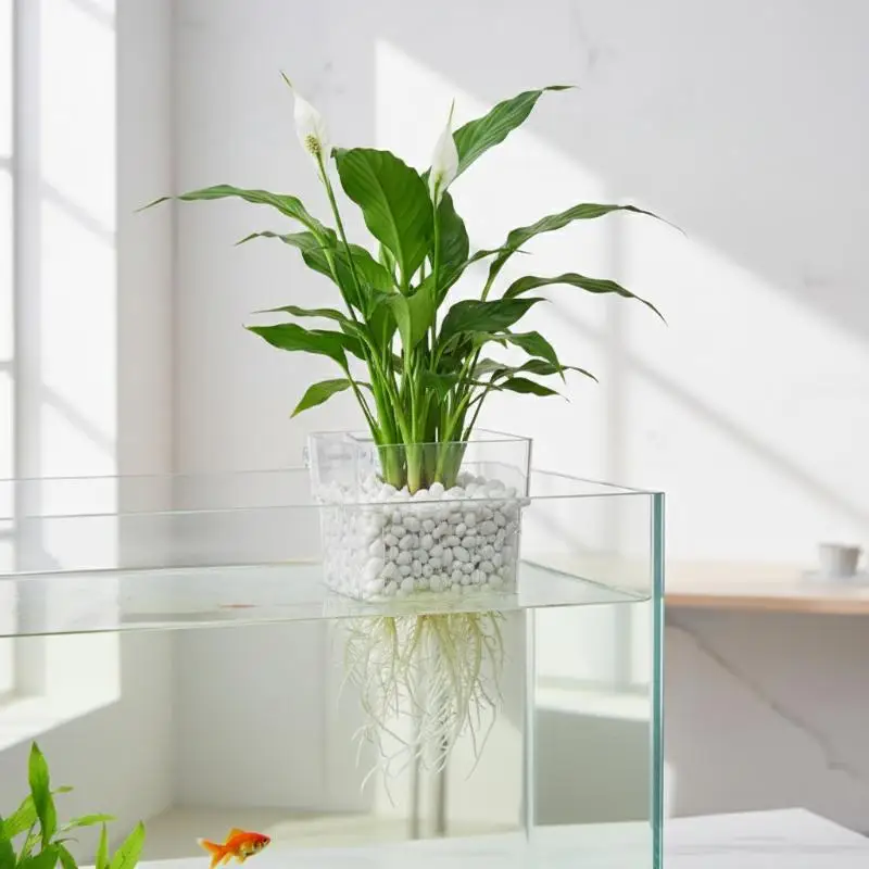 Aquarium Hydroponic Planting Cup 2 5 10Pcs for Aquatic Plant Cultivation Durable Basket for Fish Tank Setup