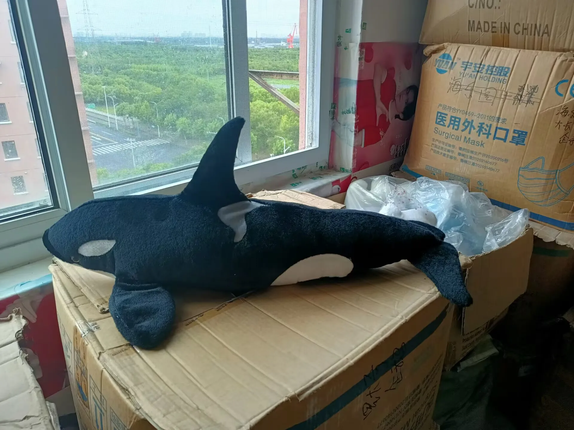 

middle plush Killer whale toy lovely killer whale pillow doll gift about 80cm 2604