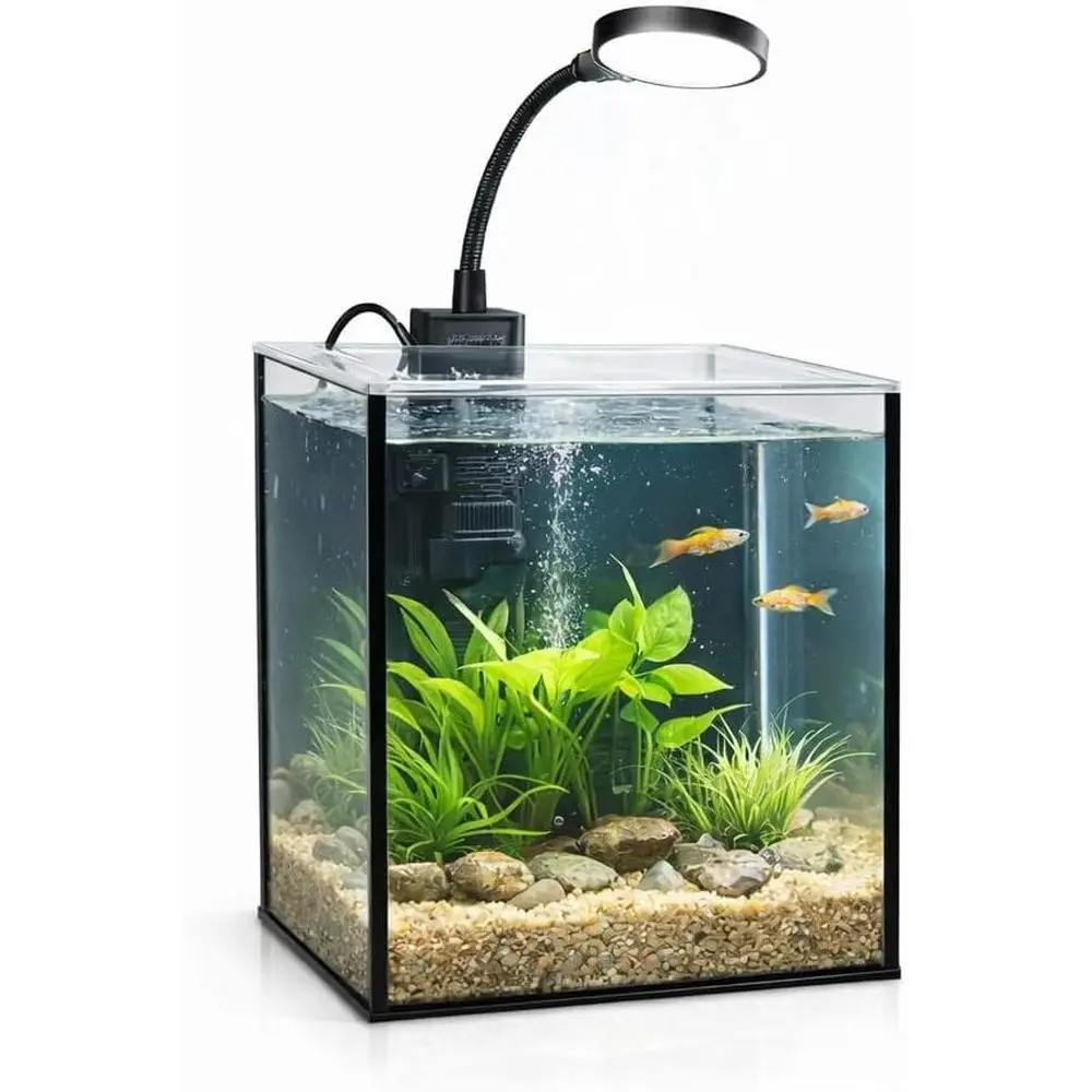 

Mini Aquarium Set ish Tank Shrimp Tank Snails Tank Planted Tank 1.2 Gallon Aquarium Kit, Small Desktop ish Tank or Small Aquatic