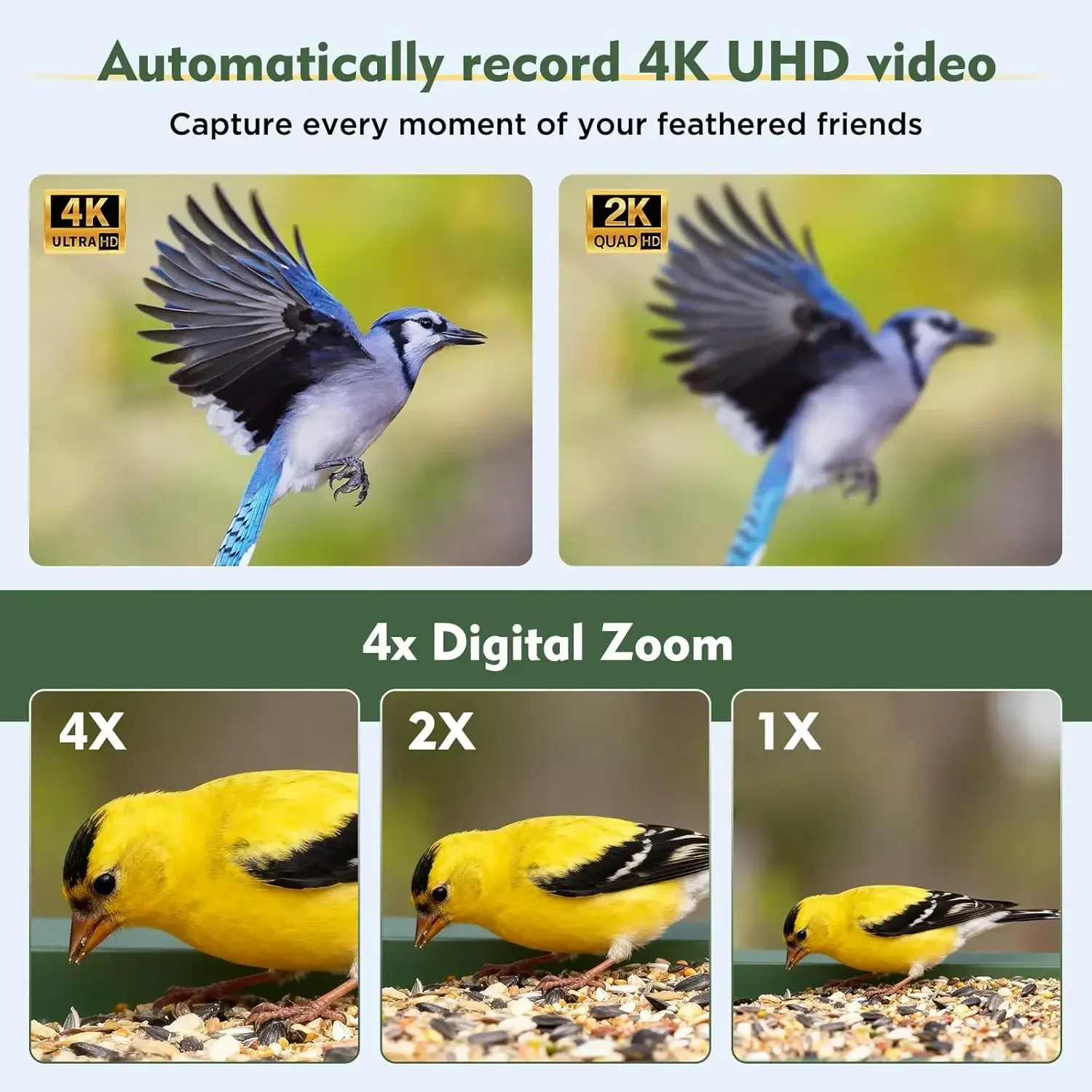 Solar Powered Smart Bird Feeder with Camera 4K HD Dual Band WiFi Auto Capture Bird Video Real time Notifications Live Streaming