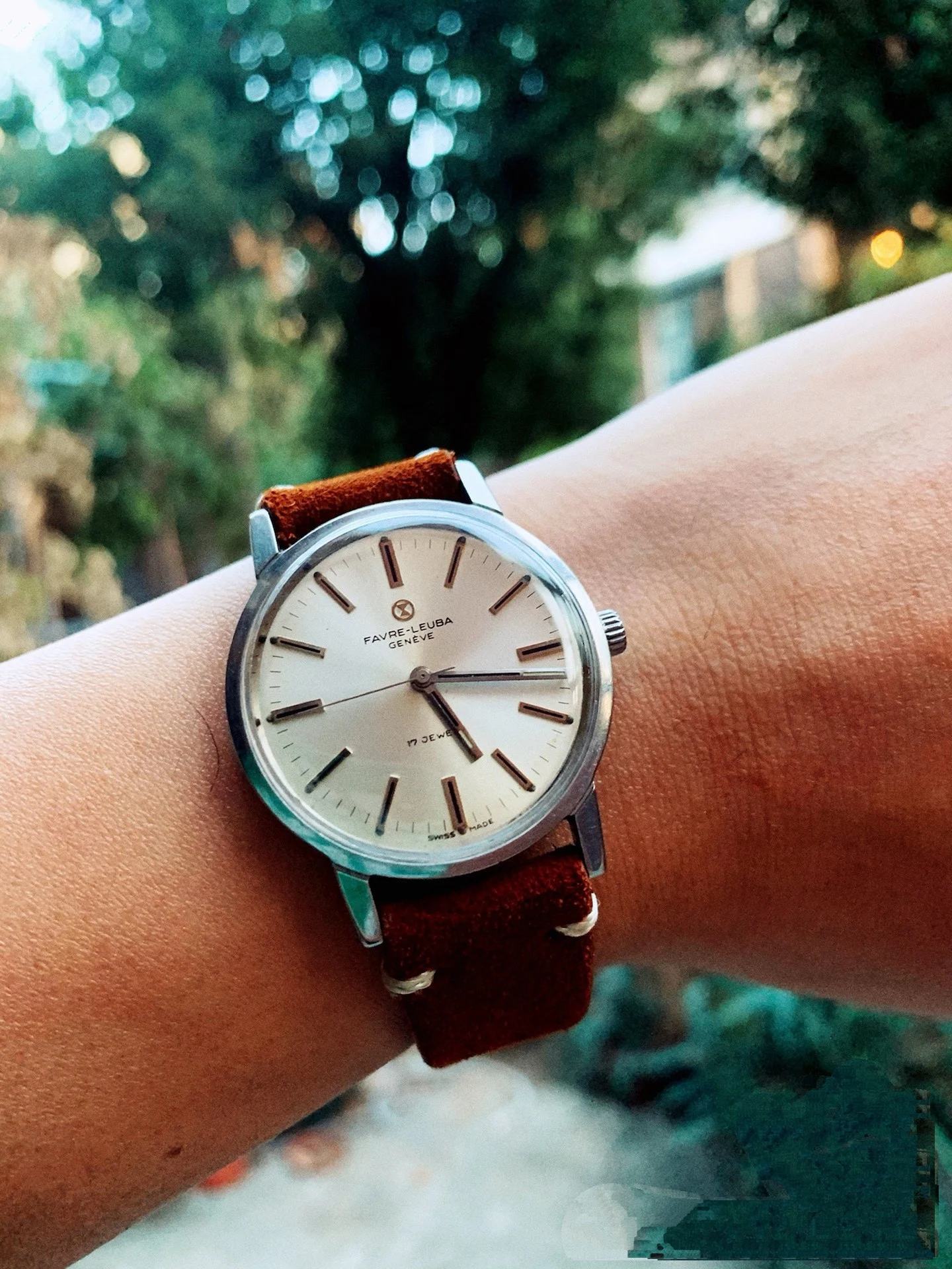 （Discontinued）Vinta…