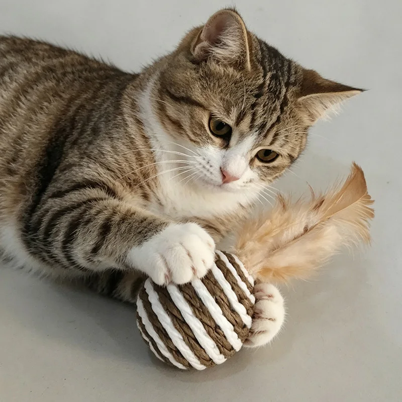 Juguetes de plumas y sisal interactivos para gatos – Sin aburrimiento