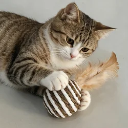 Juguetes de plumas y sisal interactivos para gatos – Sin aburrimiento