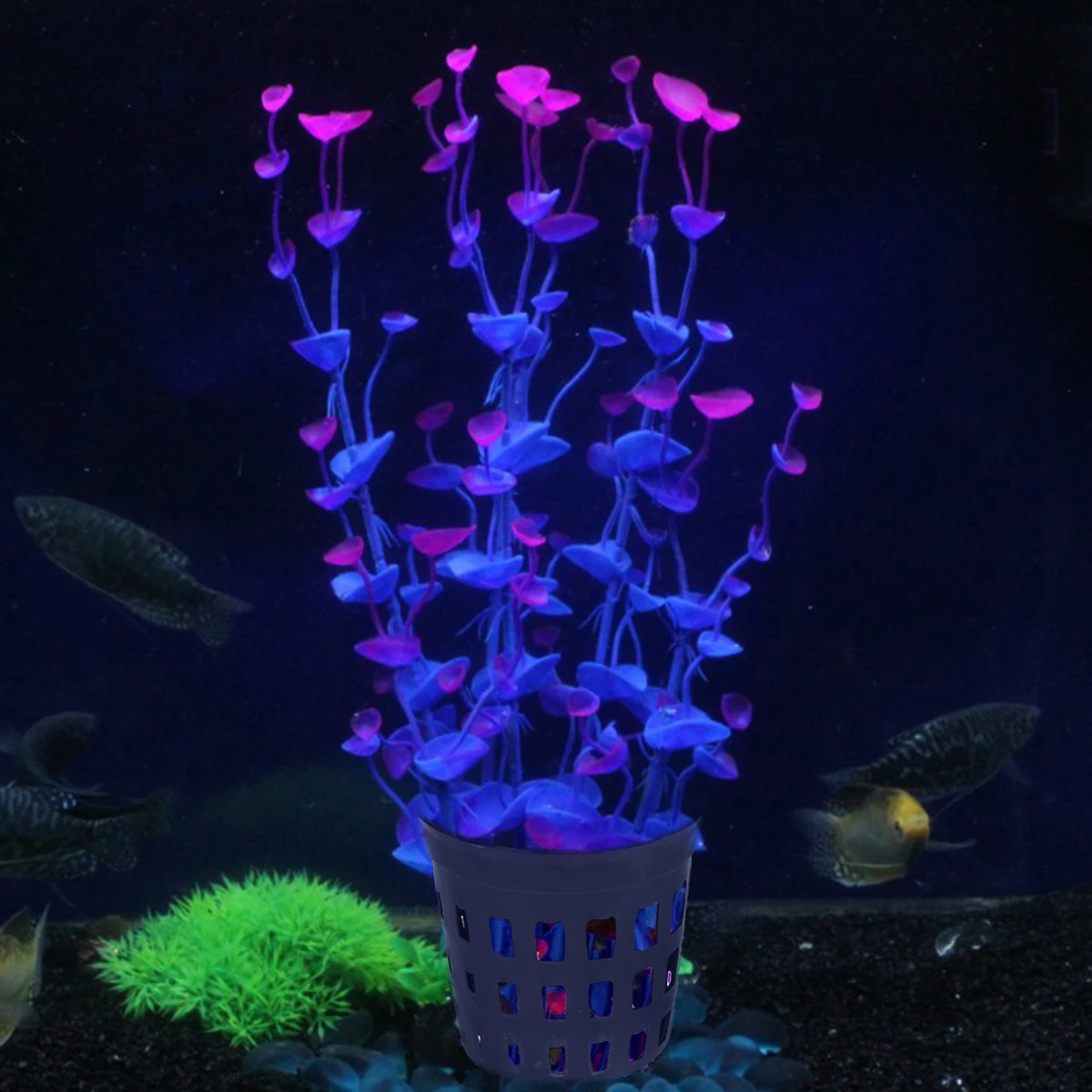 

10 Pcs Basket Aquarium Flower Pot Planting Baskets for Plants Flowerpot Aquatic Black Pots