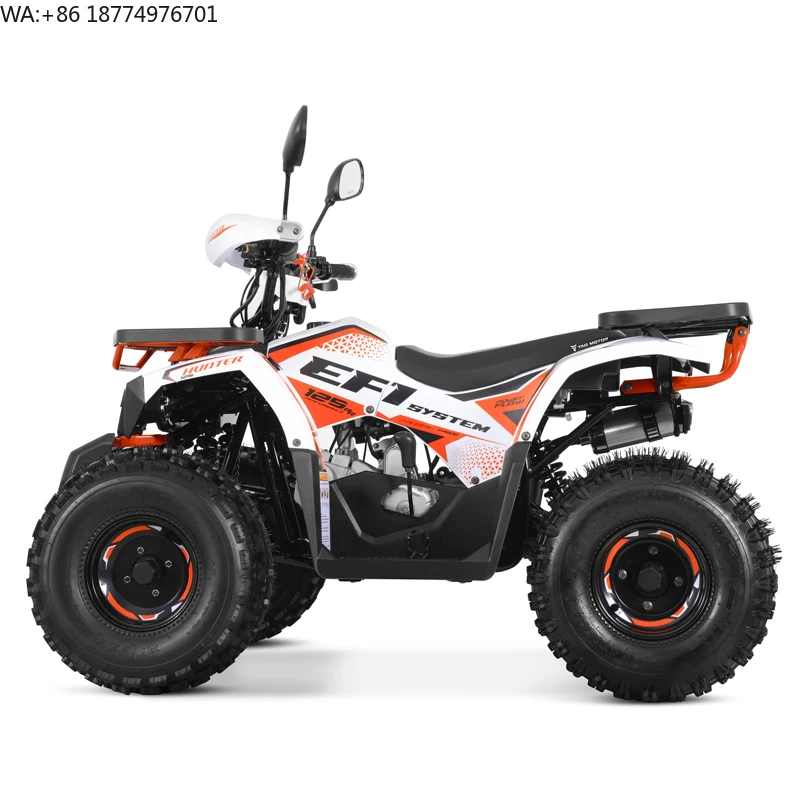 Tao Motor New EFI Electronic Fuel Injection ATV 125 Cheap Chinese Automatic with Reverse Chain Drive Farm ATV 125cc ATV