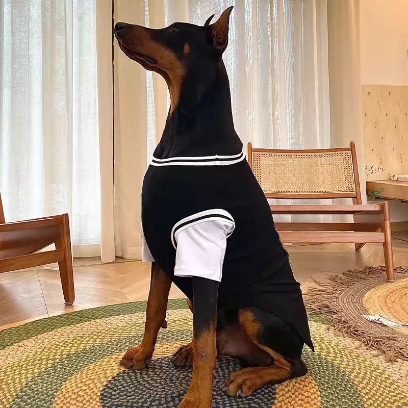 Thumbnail 2 - #16 Dog Apparel Discount Picks