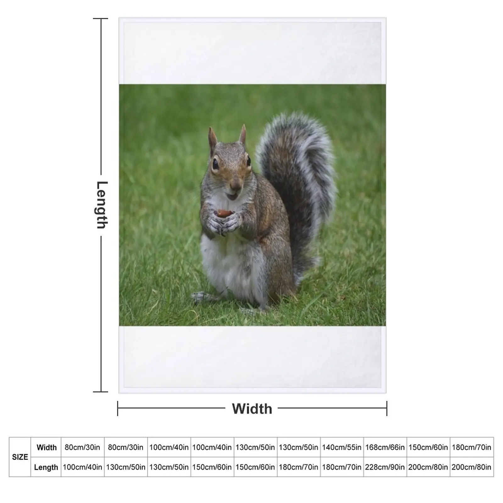 Grey Squirrel with a peanut Throw Blanket Decorative Sofa Shaggy Plaid Bed linens Blankets