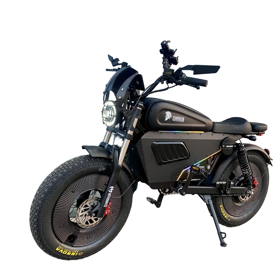 

STLF Ridsta Q20 Customized 20Ah 50km/h Electric Mountain Bike 1000w 20 Fat Tire 48v Voltage Adult E-Bicycle 48v Electric Motorcy