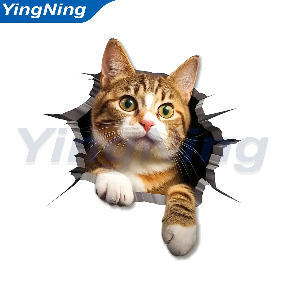 

Universal 3D Cat Wall Stickers for Car Glass Toilet Fridge Kitchen Living Room Decoration Cute Animal Vinyl Poster Mural Decals