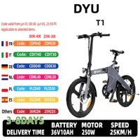 DYU-T1 250W Rack Electric Bike with Brushless Motor, 36V 10Ah Lithium Battery, Magnesium Alloy, For 20 Inch Adult