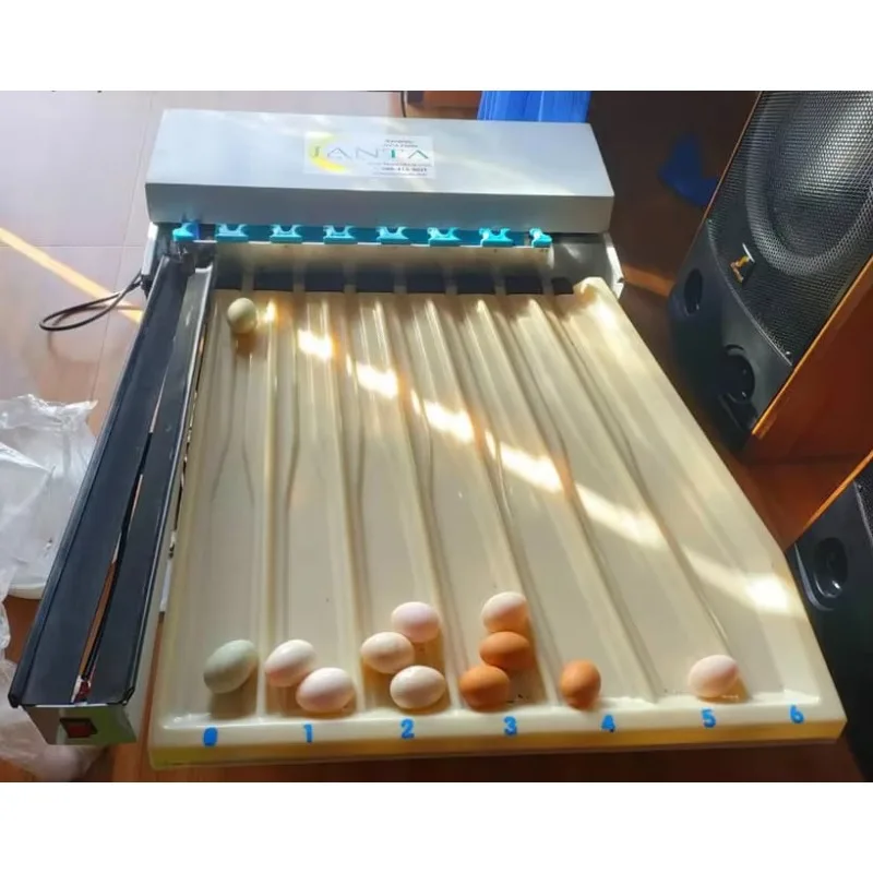 Automatic Egg Grading Machine Digital Scale Small Capacity 2000 Eggs/Hour Food-Grade Small Factories