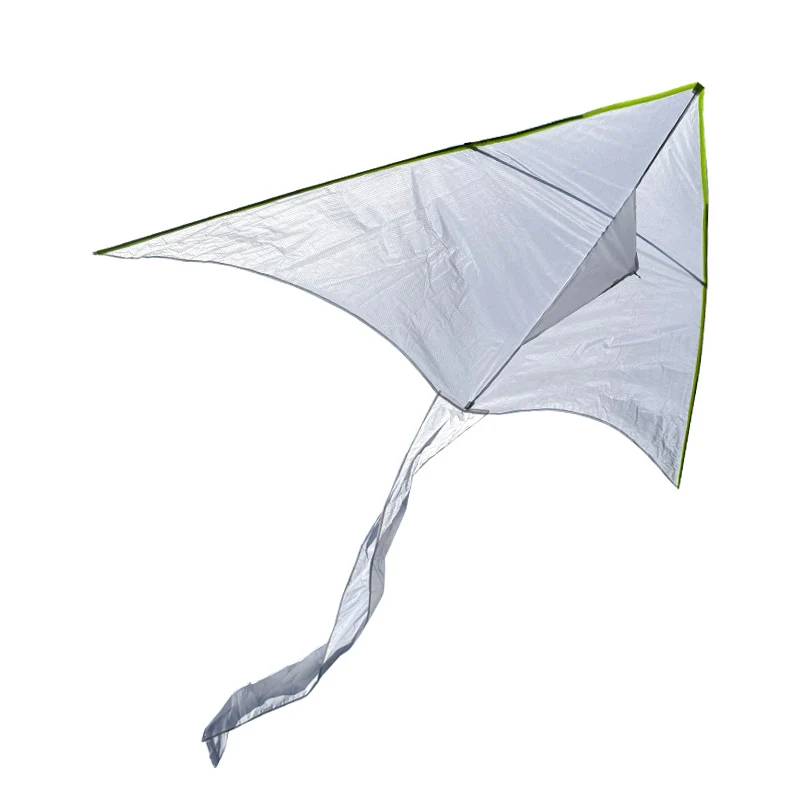 Paradise Bird 2m Blank Kite with 100m Handle Line Can Engage in Artistic Creation Outdoor Fun Gift For Children Painting Kite