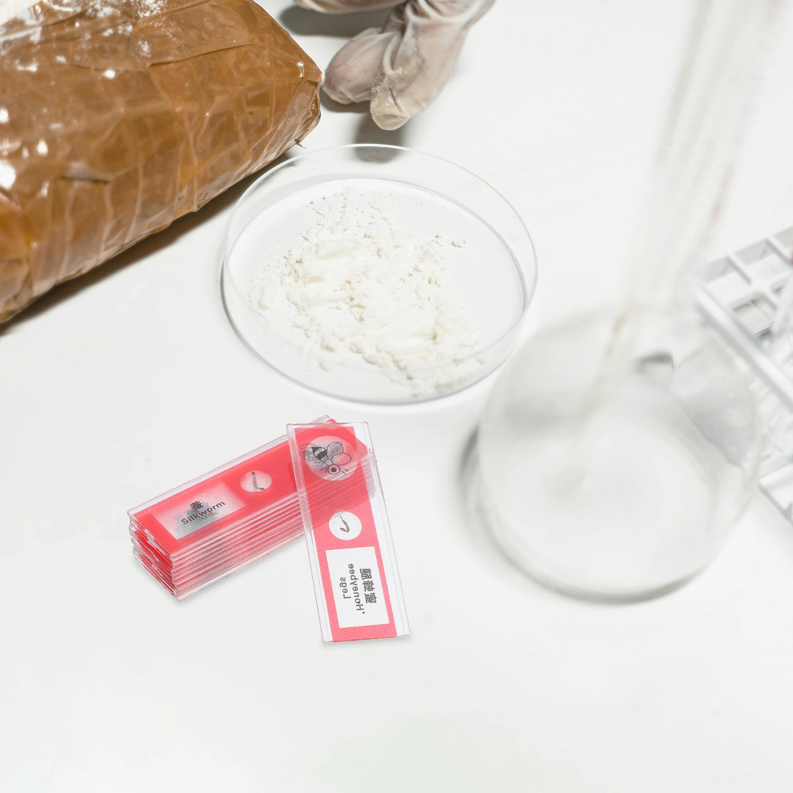 12 Pcs Biological Sample Sections Blood Microscope Slides Animal Insect Assortment Child