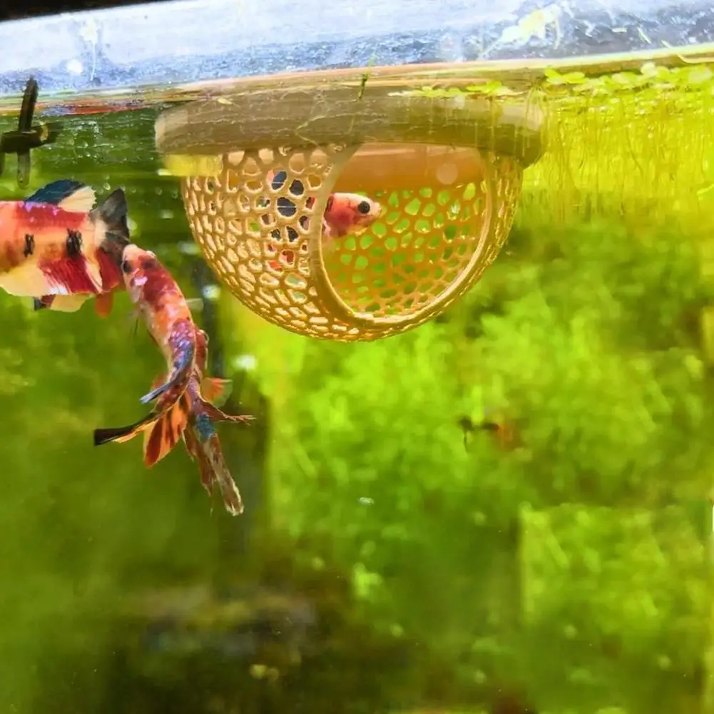 Aquarium Floating C…