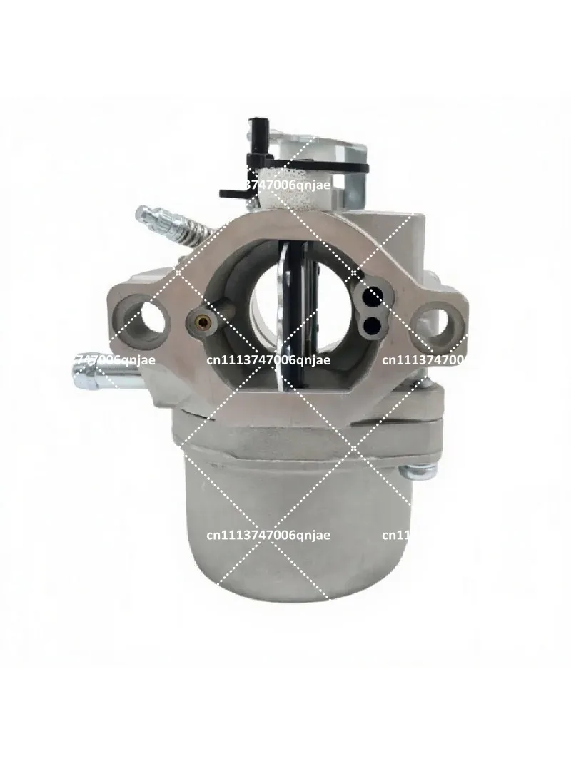 Carburetor Compatible with 790020 794653 794308 790022 808-003 Engine Parts