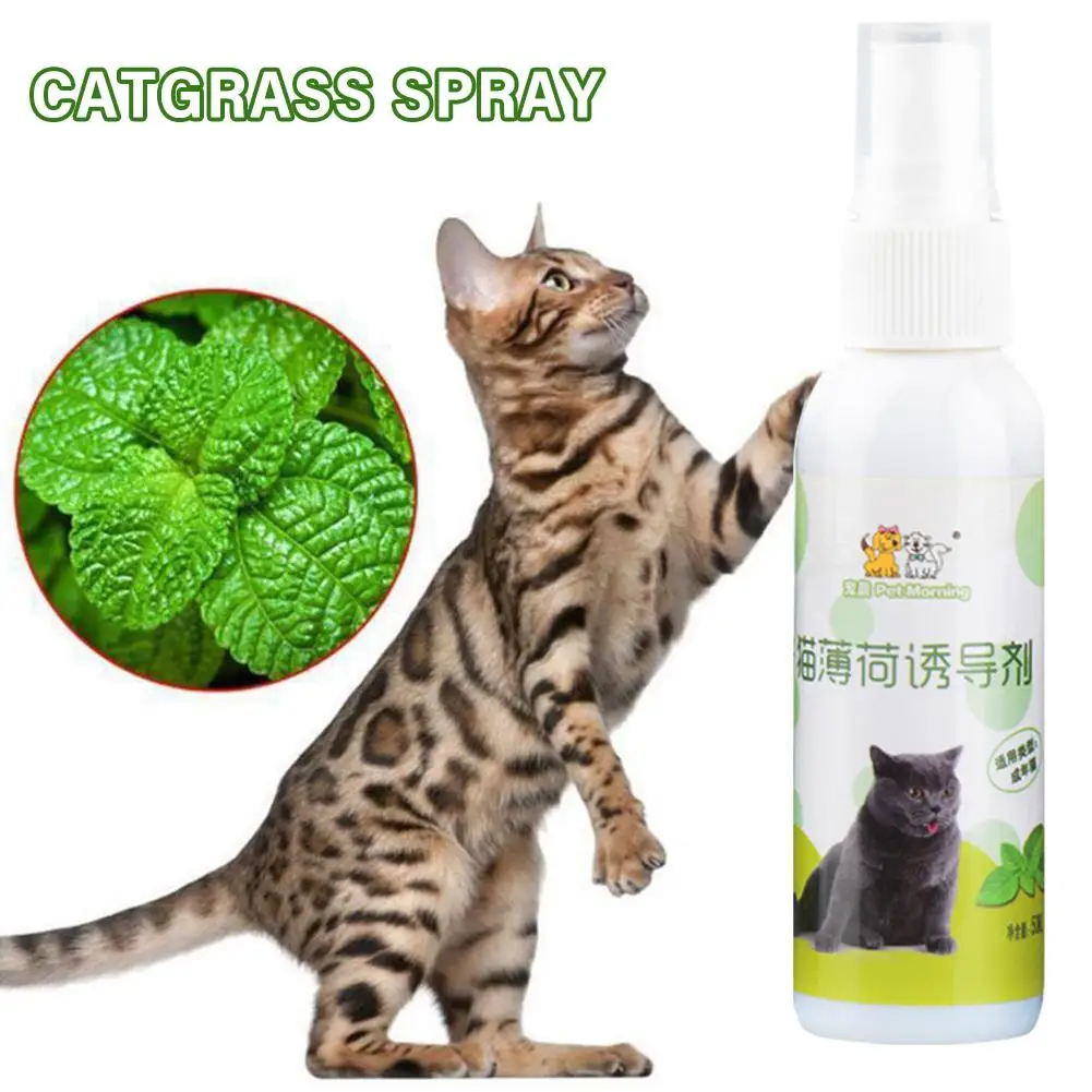 50ml Natural Health Safety Cat Mint Inducer Mint Spray Training Breathing Cat Fresh Inducer Spray Cat Toy Products N4B0