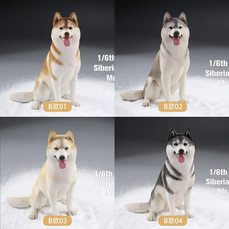 

В наличии: Модель собаки-хаски Mr.Z в масштабе 1/6 из имитированной смолы для декора дома, украшения автомобиля и аксессуаров