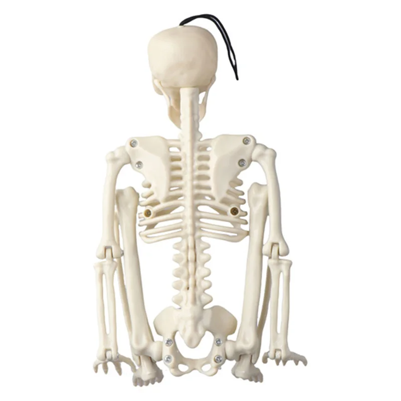 Posable Skeleton Halloween Decor Scary Man Bone Creepy Party Decoration