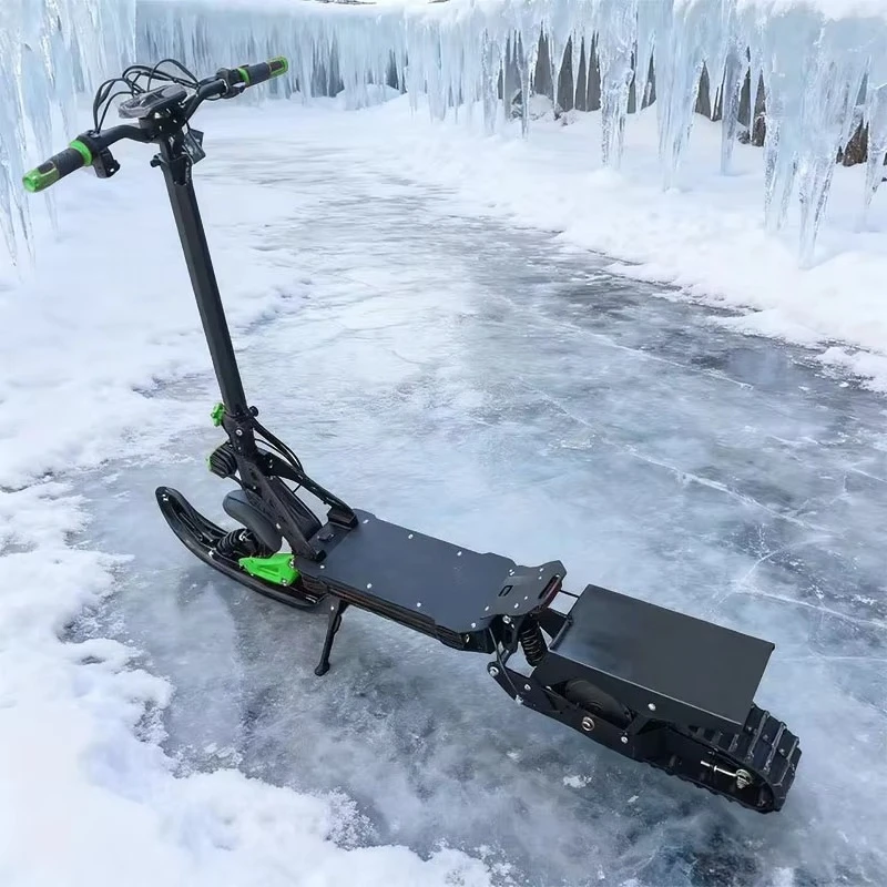 HL-GS-11 2-in-1 Stand-Up Snowmobile & Electric Scooter - 800W All-Terrain Vehicle