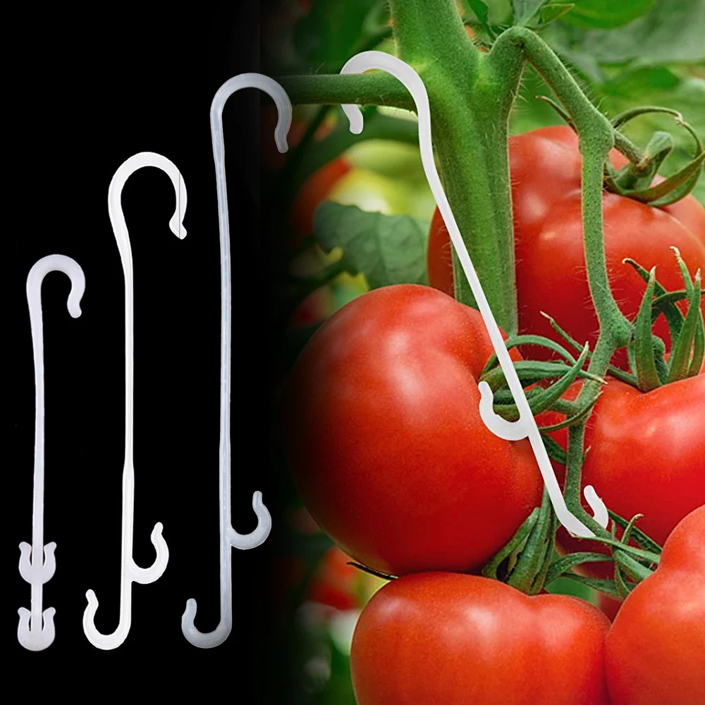 50/100pcs Tomato Support Hooks 9.5/13/16cm Plant Support Vegetable Clips To Prevent Tomatoes Fruit Cluster From Pinching