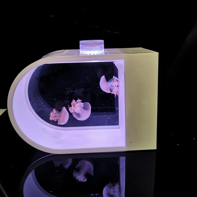 A Desktop Jellyfish Cylinder Mute Jellyfish Tank Remote Control Light Aquarium Tank  Aquarium Accesorios Small Fish Tank