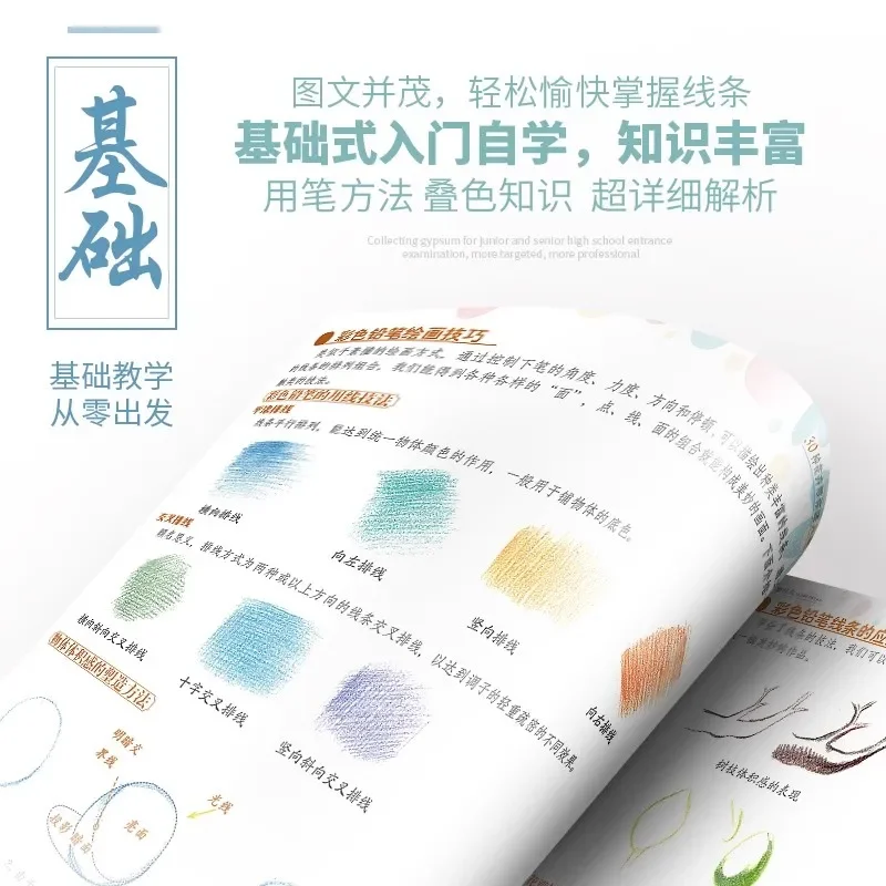 Colored Pencil Flower Drawing Book for Beginners: Step-by-step Tutorials to Learn Blending and Shading Techniques