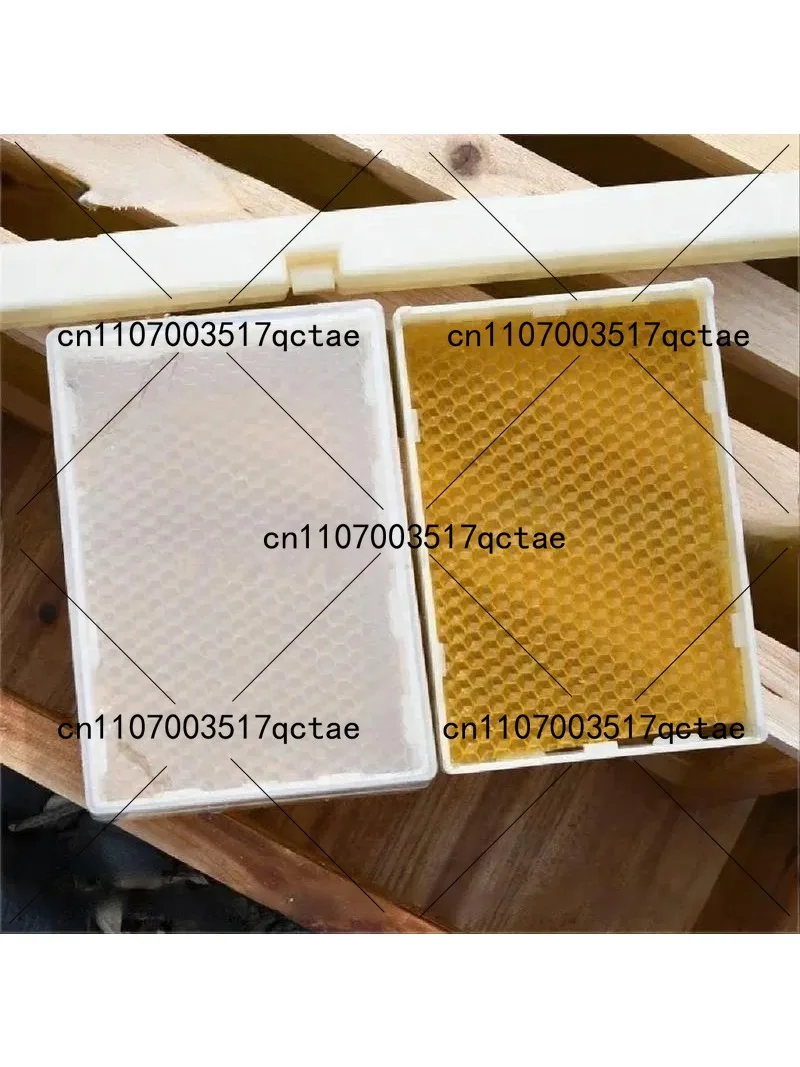Complete Comb Honey Storage Kit 1 Plastic Frame with 6 Transparent Boxes Beekeeping Supplies