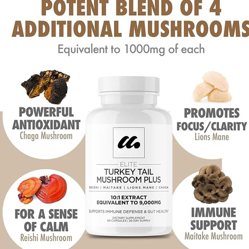 Turkey Tail Mushroom Capsules - Contains Lion Mane, Chia Jia, Lingzhi, and Dancing Mushroom